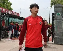 开云电子登录-与斯内德同在国家队和俱乐部队友有哪些